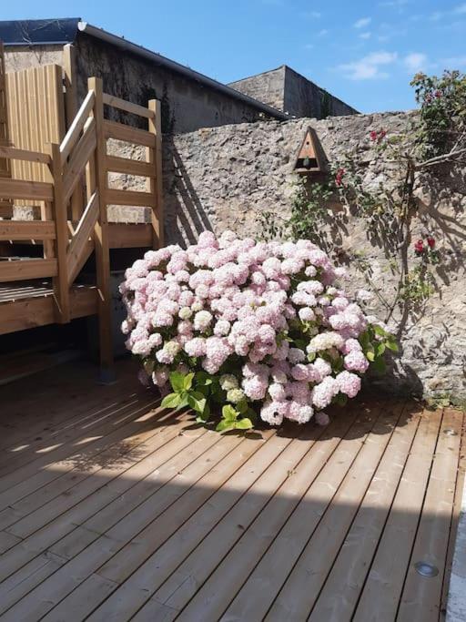- Entierement Neuf A 100 Metres De La Appartement