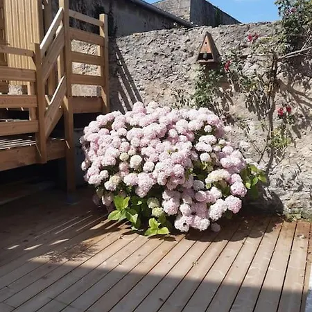 Mer - Gite Entierement Neuf A 100 Metres De La Plage Wimereux Exterior foto